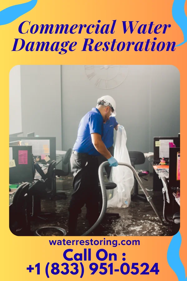 Commercial Water Damage Restoration in Misericordia University, PA