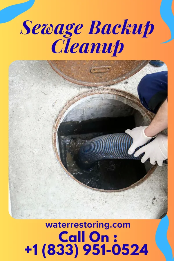 Sewage Backup Cleanup in Misericordia University, PA