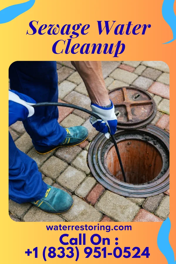 Sewage Water Cleanup in Misericordia University, PA